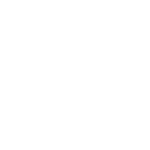 Desarrollo de Competencias Directivas